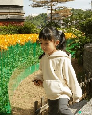 由1月20日至3月11日，以傳統車公廟風車文化為靈感，變身超