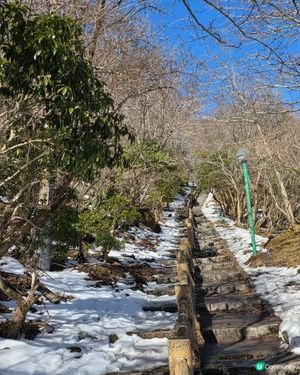 別府纜車帶你看四季自然美景