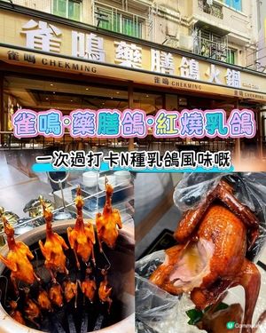 一次試晒！雀鳴乳鴿💯😋