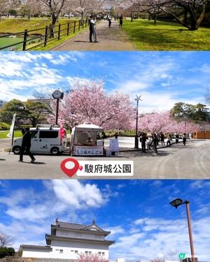 櫻花🌸駿府城，歷史感滿滿！💖