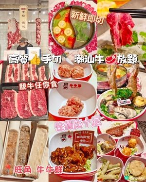 高質👍手切🔪潮汕牛🥩放題