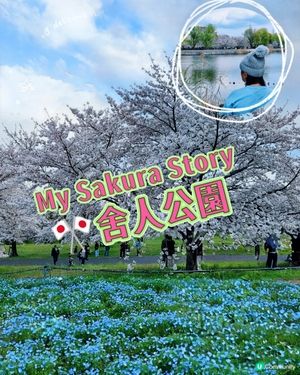 🇯🇵🌸我愛花花🌸之舍人公園悠悠閒賞賞櫻🌸
