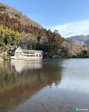 湯布院🍄治癒藝術之旅 | 🇯🇵