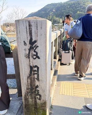 嵐山渡月橋🌸🌳🏞️絕美 Kyoto 必打卡!