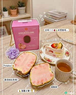 Italian TomatoxPinkglow粉紅菠蘿💕