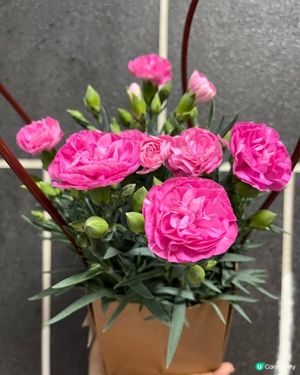 母親節驚喜！🥰 #012