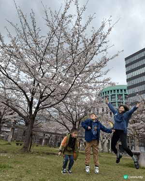 福岡市中比惠公園，我40歲人生第一次賞櫻，仲要有兩位小朋友一...