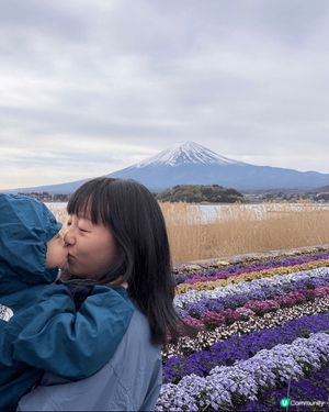 第一張 - 位於河口湖北岸的大石公園 (Oishi Park...