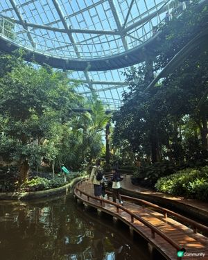 免費入場：巨型溫室植物園