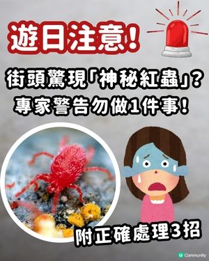🚨遊日警報！街頭驚現「神秘紅蟲」？專家警告：千祈唔好撳扁！附正確處理3招