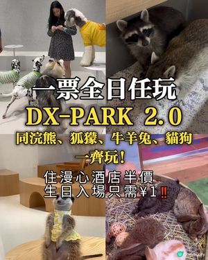 DX PARK2.0地心公園