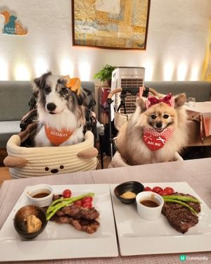 同毛孩一齊嘆 Semi Buffet🍽️