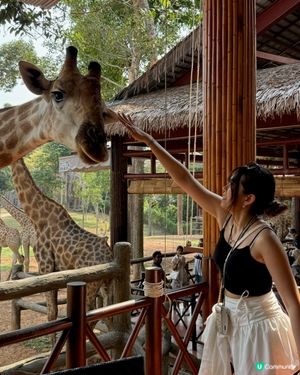 超近距離接觸動物園🦓🦒🦝🐆🦁