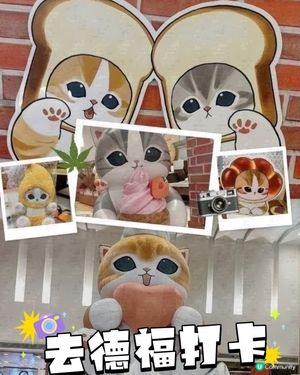 Mofusand 😘夏日喫茶店☕️ 勁萌！