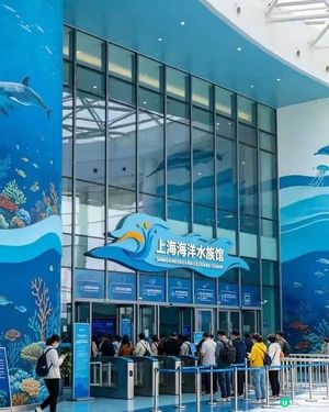 上海海洋水族館真係親子遊首選，個藍色隧道影相勁有feel，啲...