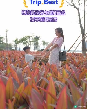 【 珠海秋日休閒親子短線遊 】