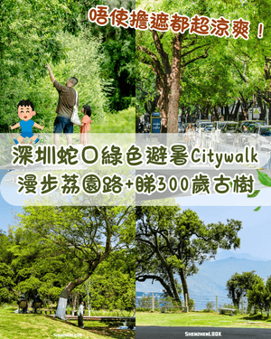 深圳蛇口森林浴Citywalk🌳漫步荔園路➕️恩上濕地睇300歲古樹🌿打卡消暑一流🚶‍♂️