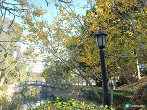 香港也有咁靚嘅景🍂
