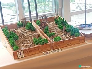 大自然實驗室及互動遊戲⛰️