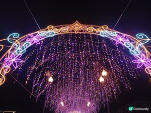 燈耀沙田馬躍新春！🏮✨