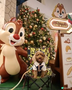 Popwalk 天晉匯 Chip n Dale