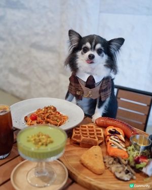 開心果奶凍世一！🤤 啟德必去！