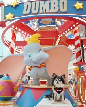 聖誕🎄就黎啦🌟
今年竟然11月就影聖誕裝飾😳
我地第一