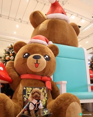 將軍澳廣場 巨大熊啤啤