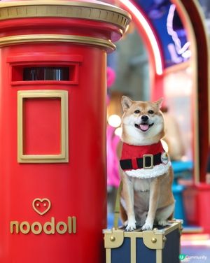 朗豪坊20週年 X 英國爆紅 Noodoll小毛薯