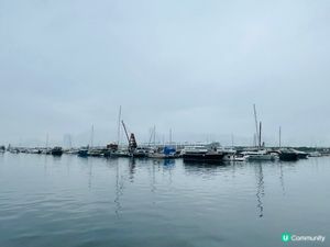 要影要把握最後機會