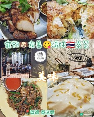寵物🐶友善😋滋味🇹🇭泰菜