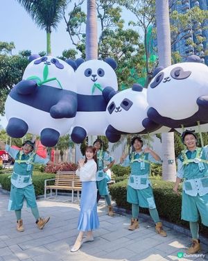 🌟鴨脷洲洪聖傳統文化節2026