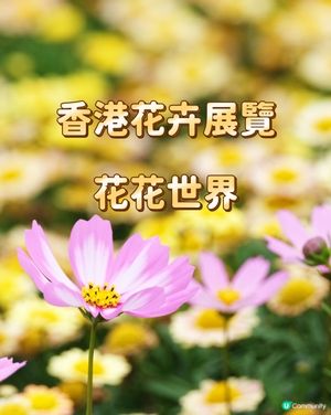 香港花卉展覽 花花世界