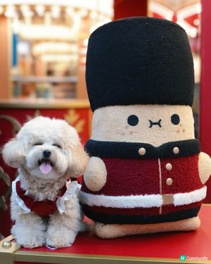 歡迎光臨【薯誕百貨】ℕ𝕠𝕠𝕕𝕠𝕝𝕝🥔