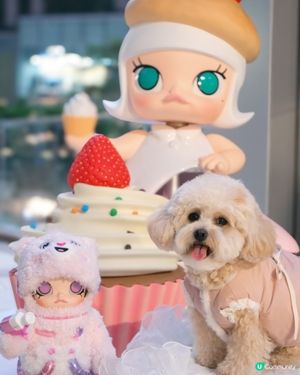 “MOLLY”黎左荃新天地啦♡( •ॢ◡-ॢ)✧˖° ♡