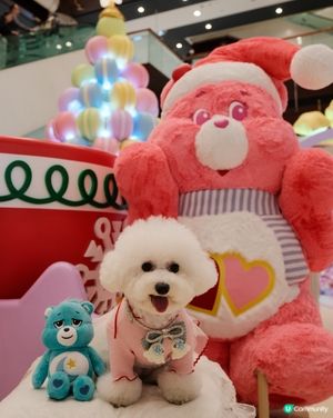 CARE BEARS 聖誕樂園