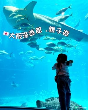 #大阪親子遊 🩵海游館之旅🐠🐋超可愛海洋生物