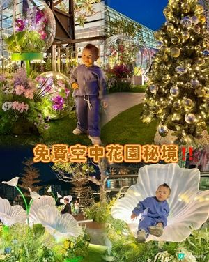 沉浸式聖誕水幕光影show必去✨