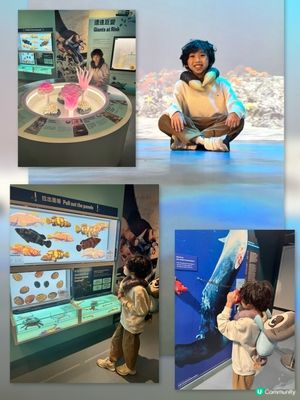 【香港海事博物館】海上嘅歷史寶藏🌊