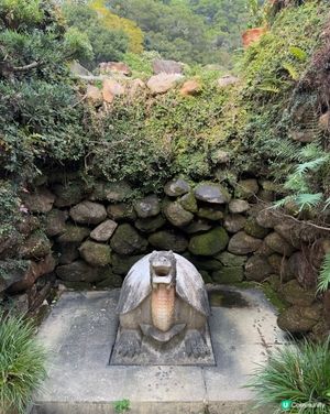 深圳仙湖植物園 - 石烏龜