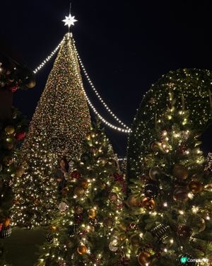 聖誕節的西九聖誕森林🎄