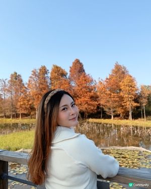 紅葉打卡！濕地公園秋意濃 🍁