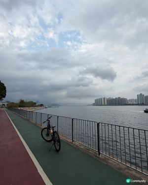 大圍踩單車去大美督｜一路風景靚到癲，香港後花園真係冇講錯！