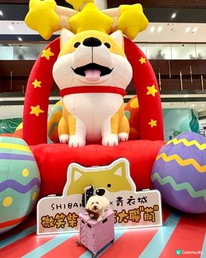 復活節青衣城，巨犬陪你萌！🐶📸