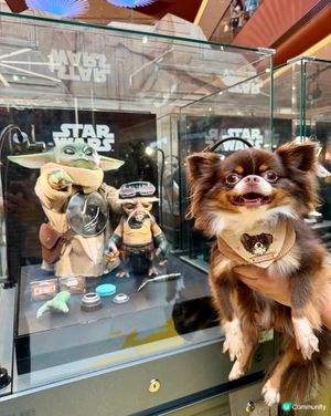 Hot Toys | 星球大戰:小古古漫遊大銀河｣主題展