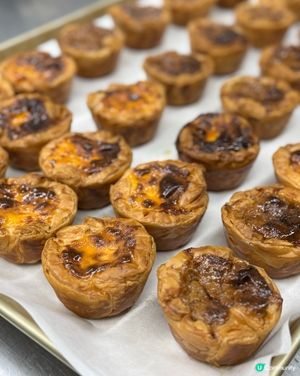 蛋撻界呢期佢最紅！