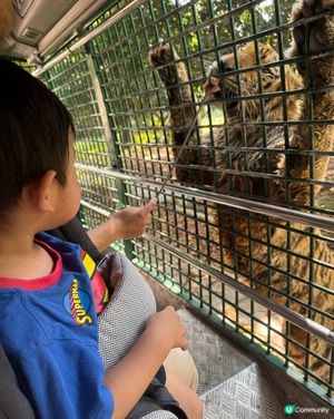 深圳動物園大發現！🦁🦒小朋友勁開心！🥳