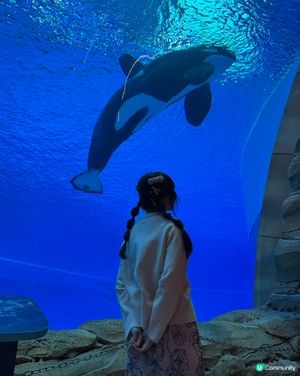 北上玩樂🐧珠海長隆海洋王國