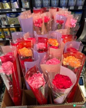 母親節快樂💐