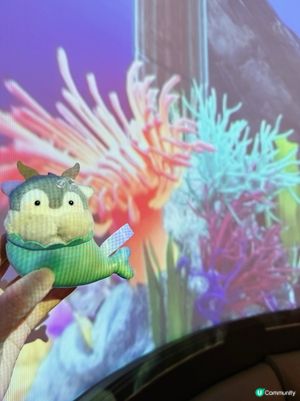 美人漁打邊爐？係海底世界！🌊😋